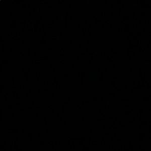 Meet your Posher, Latoya